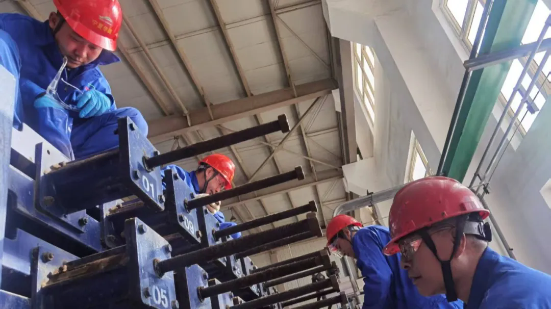 1764205412124901.png 1..webp.png